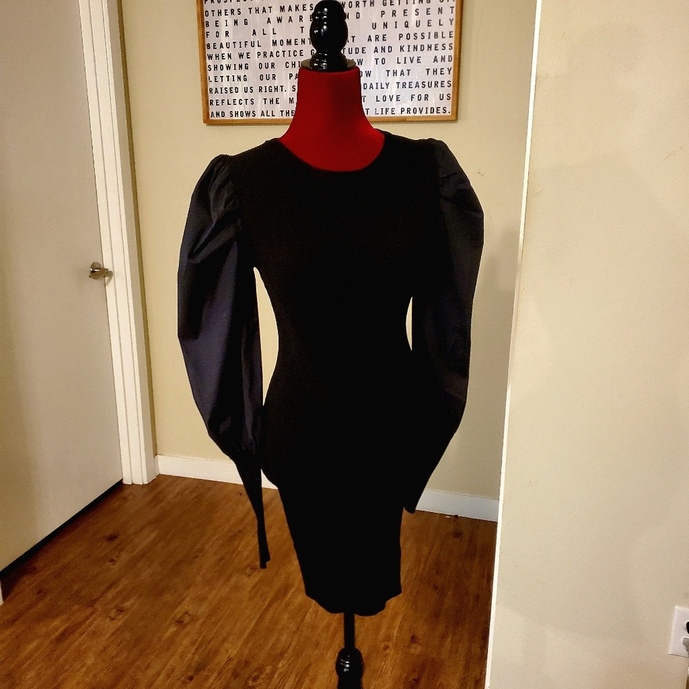VERONICA BEARD women's dress